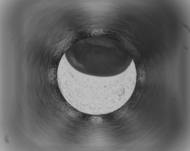 X0000103950519200810311552