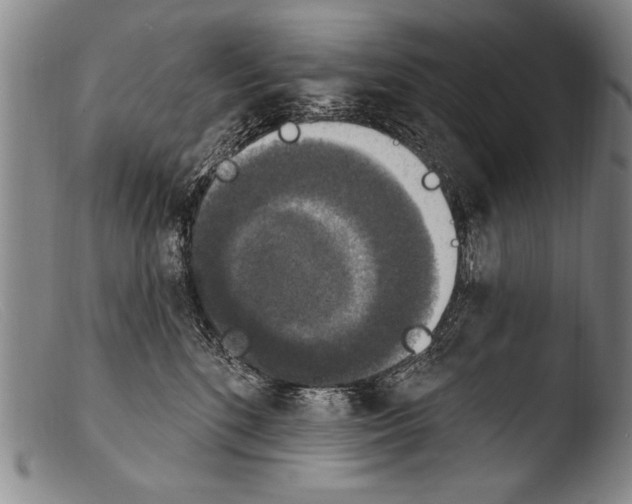 X0000103950520200810311552