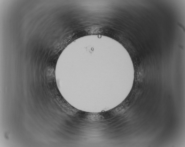 X0000103950521200810311552