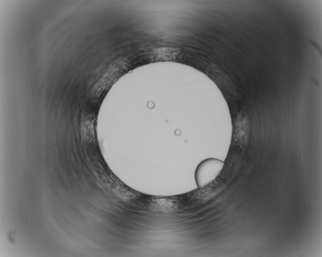 X0000103950522200810311552