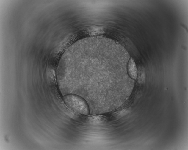 X0000103950523200810311552