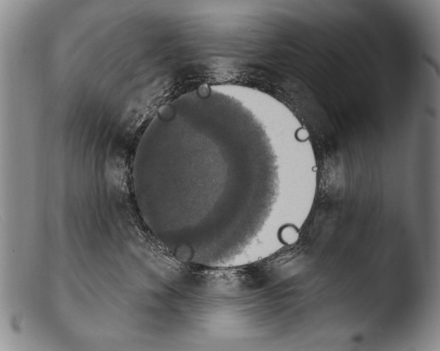 X0000103950524200810311552