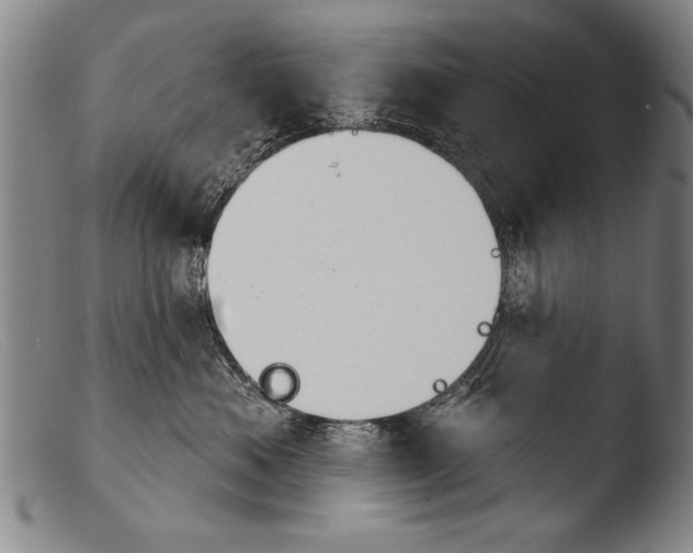 X0000103950525200810311552