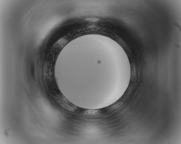 X0000103950526200810311552