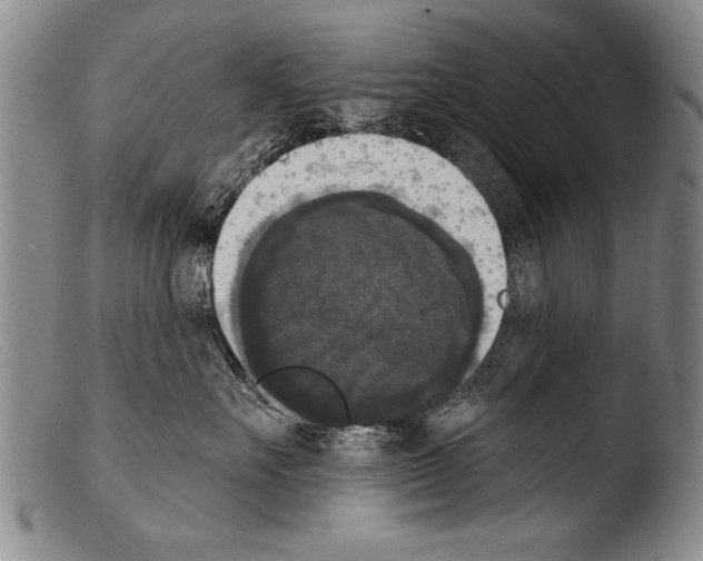 X0000103950527200810311552