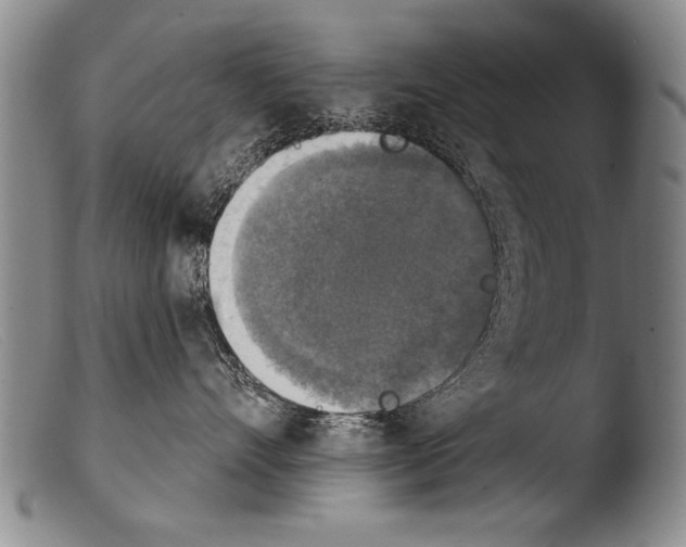 X0000103950528200810311552