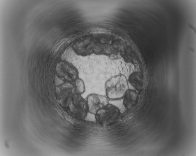 X0000103950529200810311551