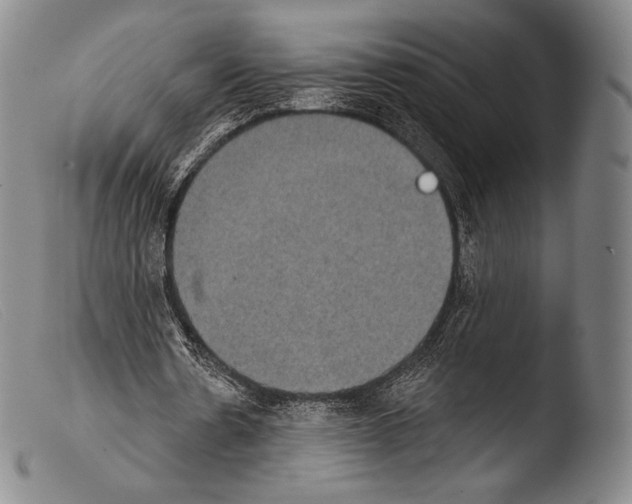 X0000103950530200810311551