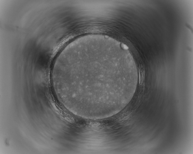 X0000103950531200810311551