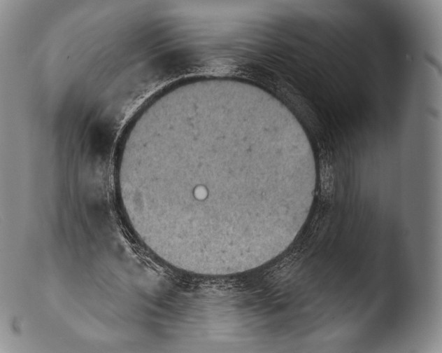 X0000103950532200810311551