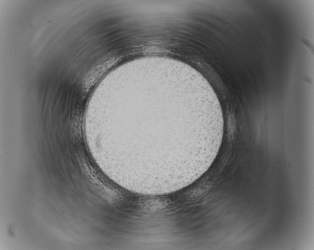 X0000103950533200810311551