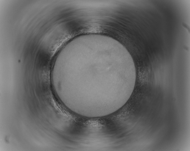 X0000103950534200810311551