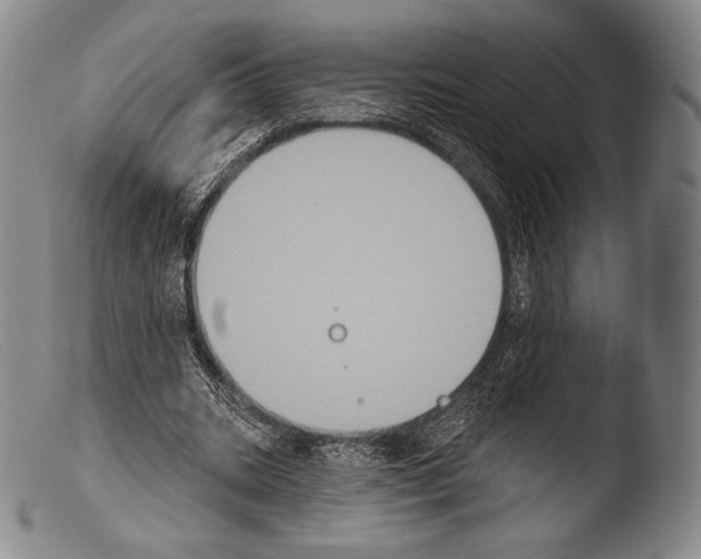X0000103950535200810311551