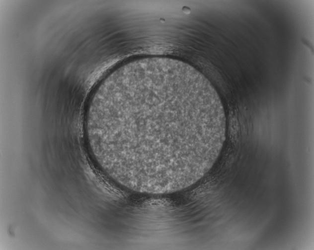 X0000103950536200810311551