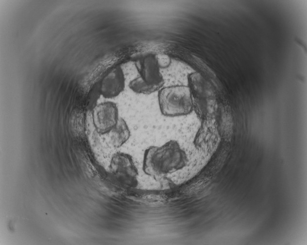 X0000103950537200810311551