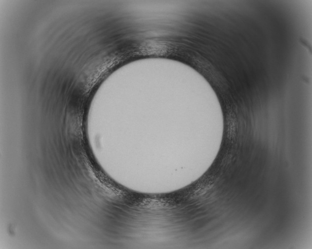 X0000103950538200810311551