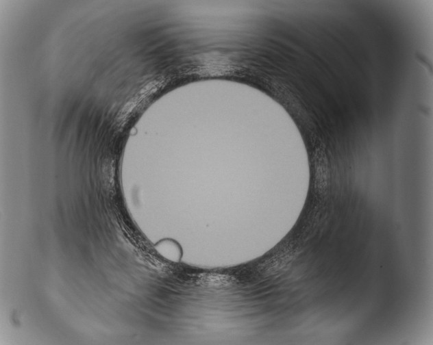 X0000103950539200810311551