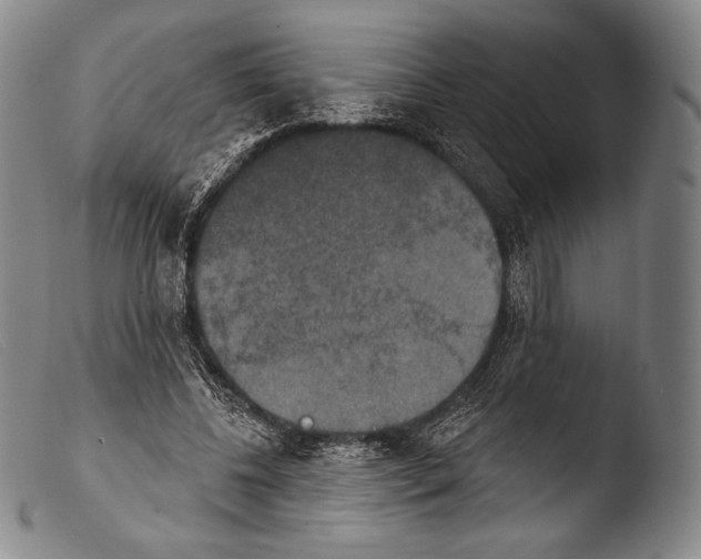 X0000103950540200810311551
