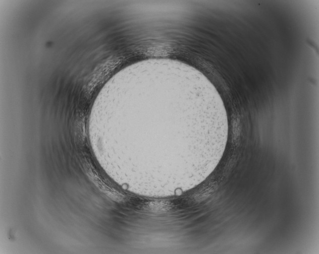 X0000103950541200810311552