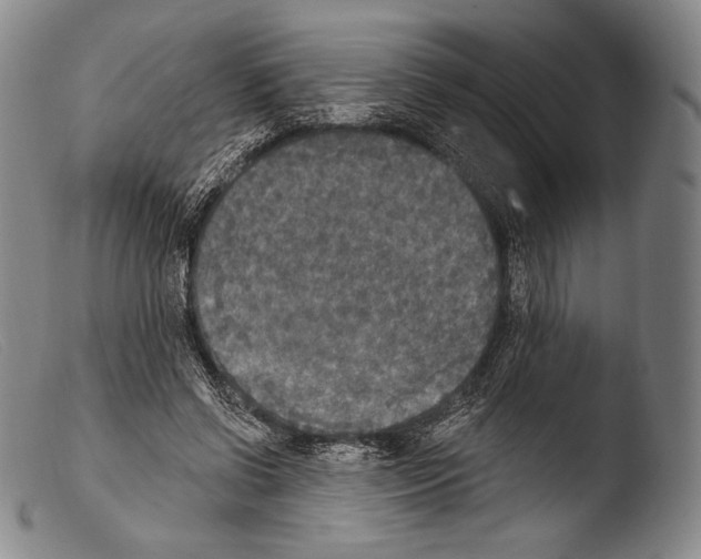X0000103950542200810311552