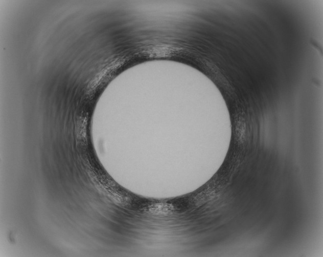 X0000103950543200810311552