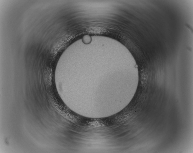 X0000103950544200810311552