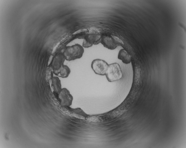 X0000103950545200810311552