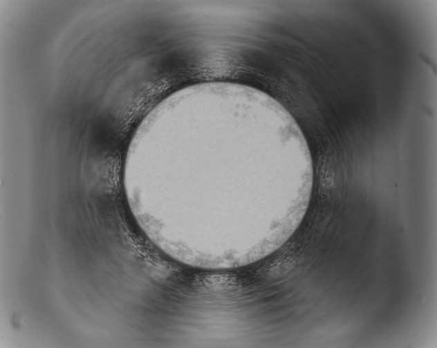 X0000103950546200810311552