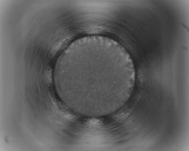 X0000103950547200810311552