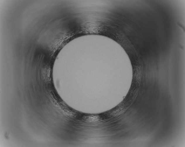 X0000103950548200810311552