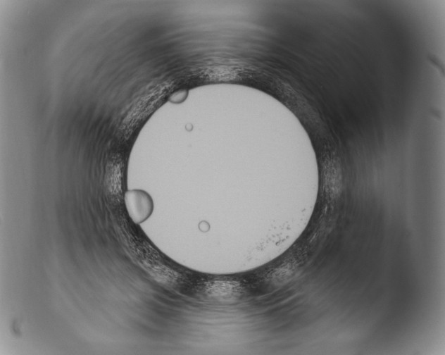 X0000103950549200810311552