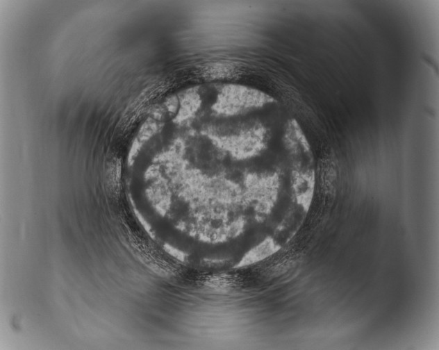 X0000103950550200810311552