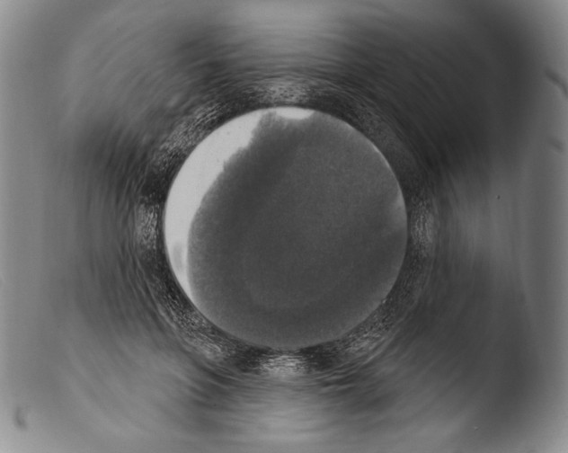 X0000103950551200810311552