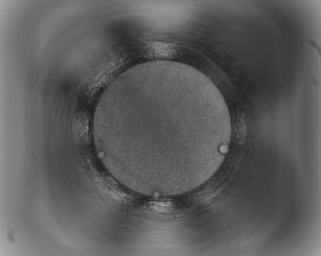 X0000103950552200810311552