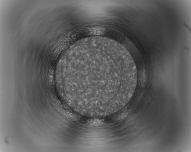 X0000103950553200810311552