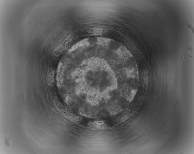 X0000103950554200810311552