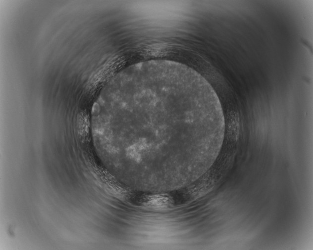 X0000103950555200810311552