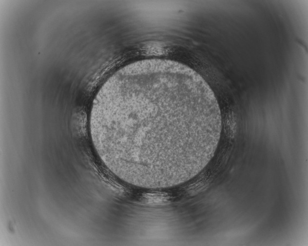 X0000103950556200810311552