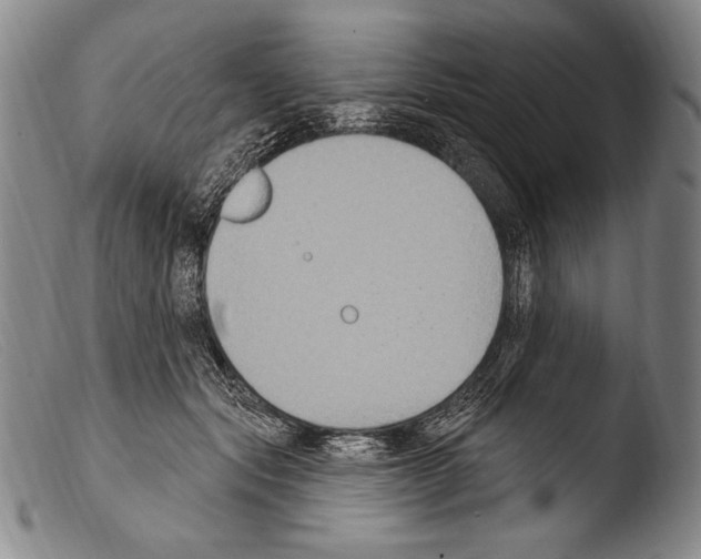 X0000103950557200810311552