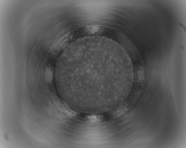 X0000103950558200810311552