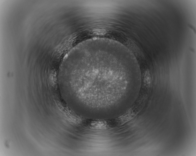 X0000103950559200810311552