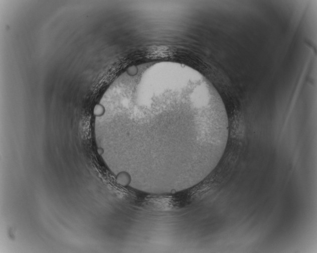 X0000103950560200810311552