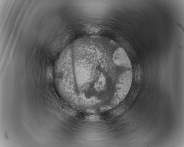 X0000103950561200810311552