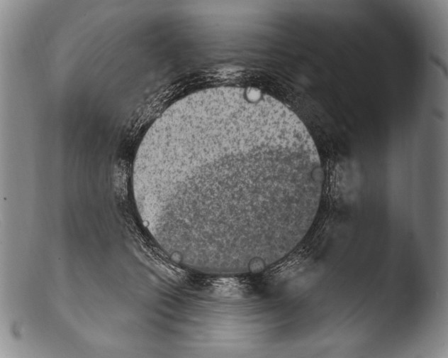 X0000103950562200810311552