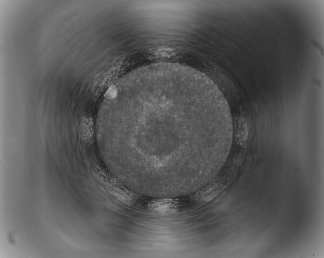 X0000103950563200810311552