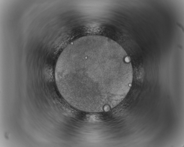 X0000103950564200810311552