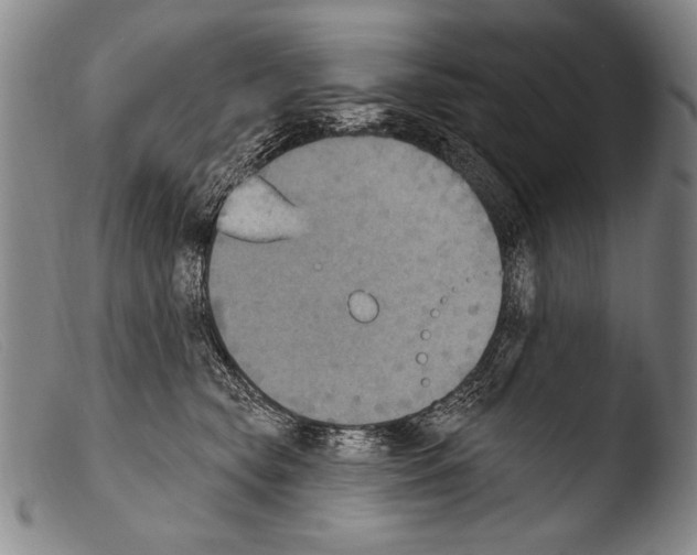 X0000103950565200810311552