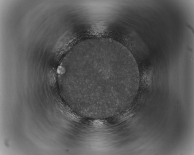 X0000103950566200810311552