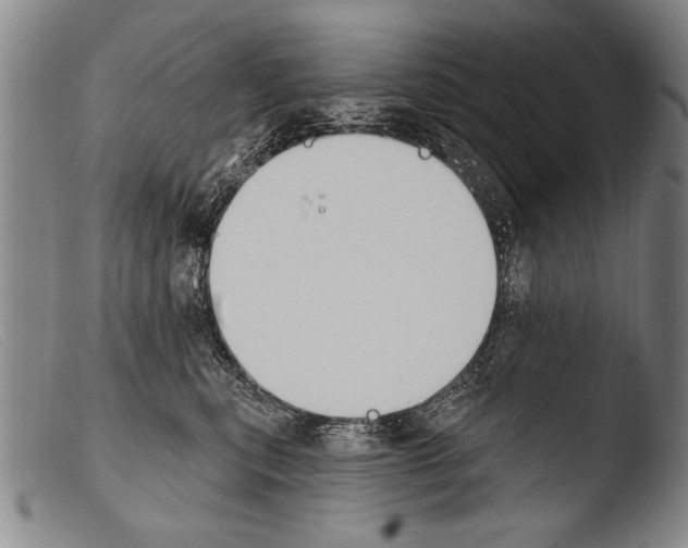 X0000103950567200810311552