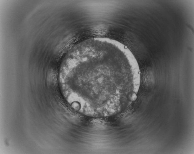 X0000103950568200810311552
